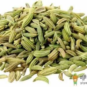 茴香的健康功效：缓解胃胀气