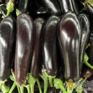 茄子的营养价值-茄子的功效与作用