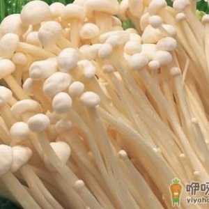 盘点金针菇的五大功效及作用