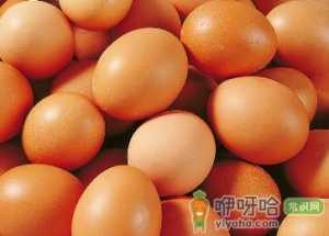 鸡蛋的营养价值及营养成分包括哪些