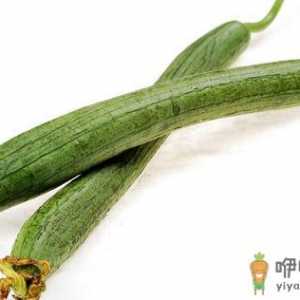 丝瓜的12种功效 治疗疾病胜良药