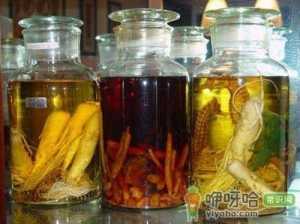为什么三伏天不宜喝药酒？三伏天喝药酒的坏处
