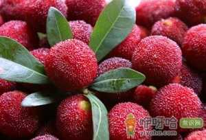 吃杨梅的营养价值、功效与作用、食用禁忌