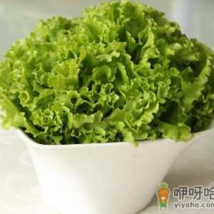 生菜的营养价值-生菜的功效与作用