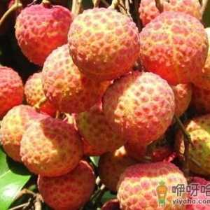 荔枝吃多了会怎么样？荔枝每天吃多少合适