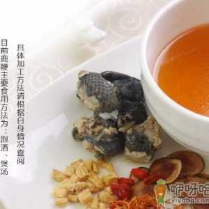 鹿鞭的功效与作用-鹿鞭泡酒的方法