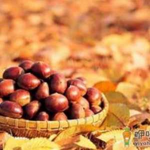 吃板栗有哪些好处？