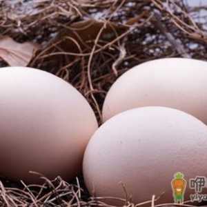 吃鸡蛋常犯的11个错误