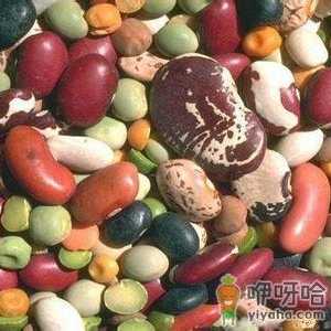 常吃豆类食品有什么好处？各种豆类的营养价值功效
