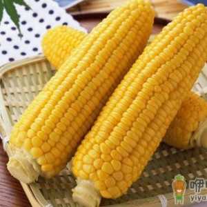 吃玉米的好处有哪些？多吃玉米可保护眼睛