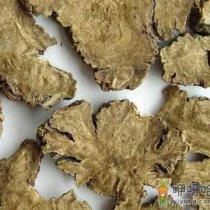 川芎的功效与作用-川芎的食用方法