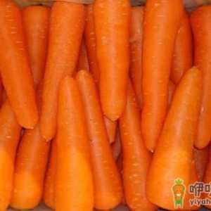 四种萝卜各有什么营养？红白萝卜混吃是禁忌