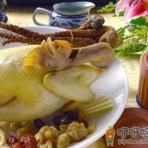 土鸡比肉鸡有营养吗？土鸡和肉鸡的营养差别有多大