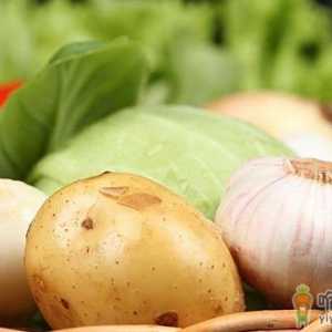冬天要多吃哪些蔬菜？适宜冬季吃的蔬菜及补血食物推荐