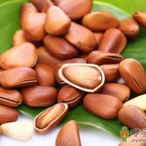 松子的功效与作用-松子的营养价值