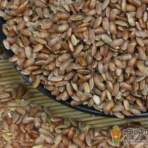 粳米的食谱-粳米的功效与作用