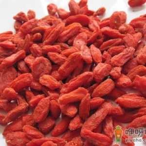 枸杞子泡水喝的功效-枸杞子泡水喝的禁忌