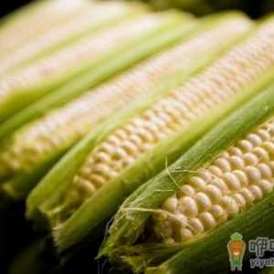 玉米吃多了会胖吗？玉米的功效