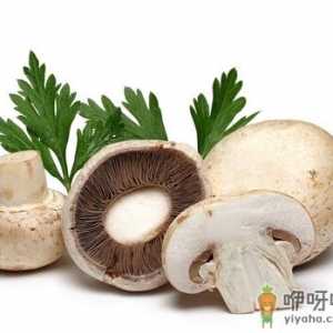 香菇的营养价值与功效-花菇和香菇的区别