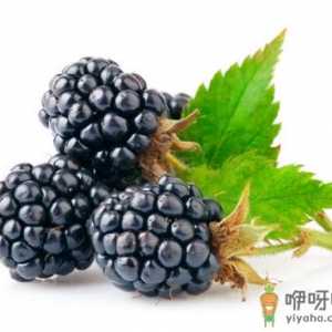 食用桑葚的注意事项-桑葚的功效与作用