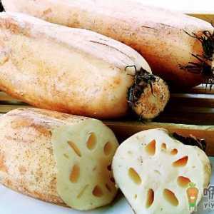 莲藕开胃清热滋补养身 推荐四款莲藕食疗方