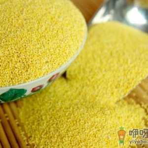 吃小米有什么好处？小米的营养价值、功效与作用