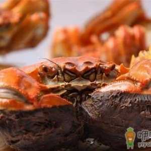 什么人不能吃螃蟹？吃螃蟹的饮食禁忌