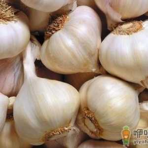 大蒜能治疗阳痿？盘点大蒜的养生功效