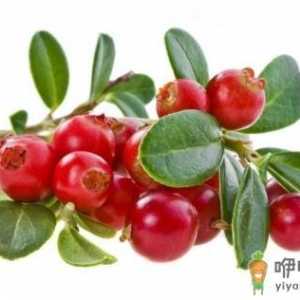 吃蔓越莓有什么好处？