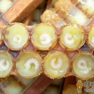 蜂王浆成分：蜂王浆的化学成分和中药化学成分