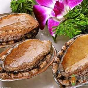 鲍鱼的营养价值-鲍鱼的功效与作用