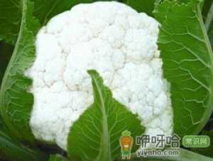 吃花菜有什么好处？花菜的营养价值及功效