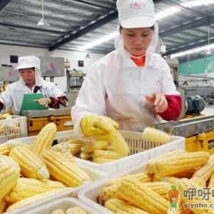 脱脂并不代表真健康-食品工业不为人知的秘密