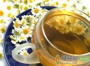 菊花茶的功效与作用-喝菊花茶有什么好处