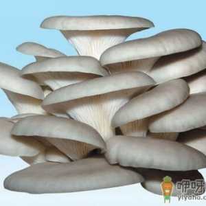 平菇的营养及功效-平菇的适用人群