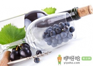 葡萄酒的功效与作用-葡萄酒的营养价值