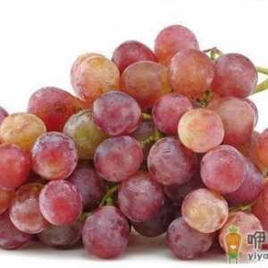 红玫瑰葡萄有什么功效