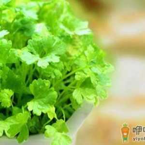 为啥不爱吃香菜？香菜的功效