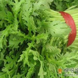 吃茼蒿有什么好处？茼蒿的功效与作用