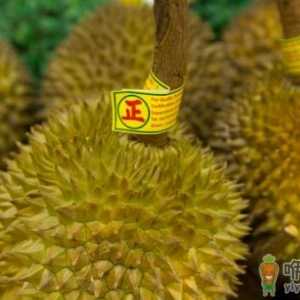 常吃榴莲滋阴壮阳增强免疫力 但榴莲不可以与可乐同食