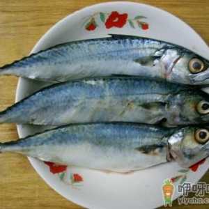 食用青占鱼的注意事项-青占鱼的营养价值