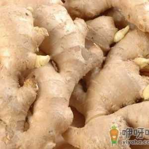 生姜的营养价值-生姜的功效与作用