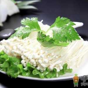 抗癌降血脂 金针菇的7大功效