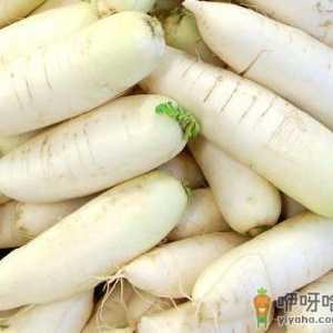 白萝卜的营养价值-生吃白萝卜的好处