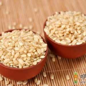 常吃糙米有好处吗？糙米有什么功效？
