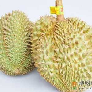 榴莲的功效与作用-榴莲的营养价值
