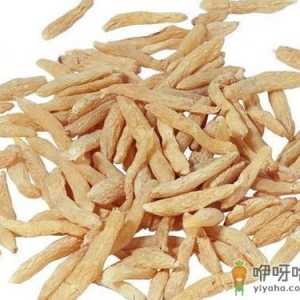 天冬的功效与作用-中药天冬的药理作用