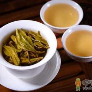 普洱生茶的泡法 普洱生茶的饮用禁忌