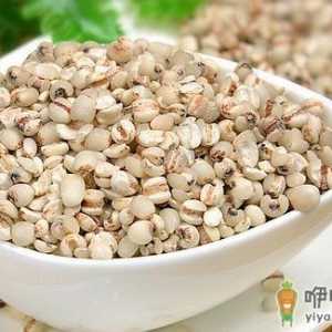 生命健康之禾 薏米的作用与功效