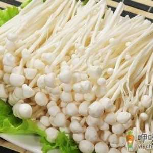 金针菇有什么养生功效？食用时有什么禁忌？